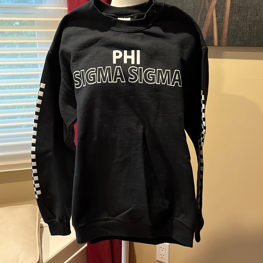 Phi Sig sweatshirt Sz Med Greek life sorority phi sigma sigma